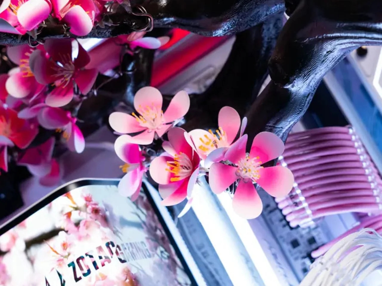 Cherry Bloom，Digital，electronic product，Game console，