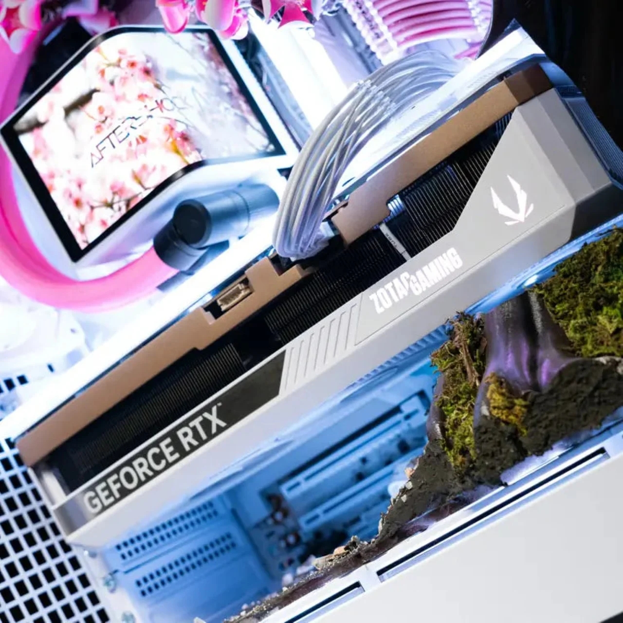 Cherry Bloom，Digital，electronic product，Game console，