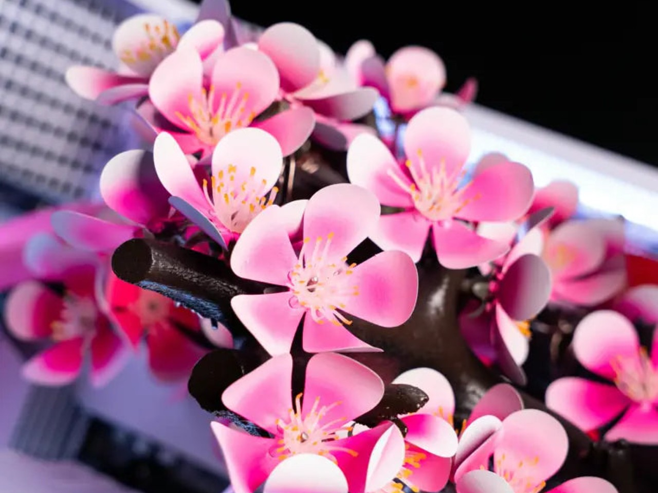 Cherry Bloom，Digital，electronic product，Game console，