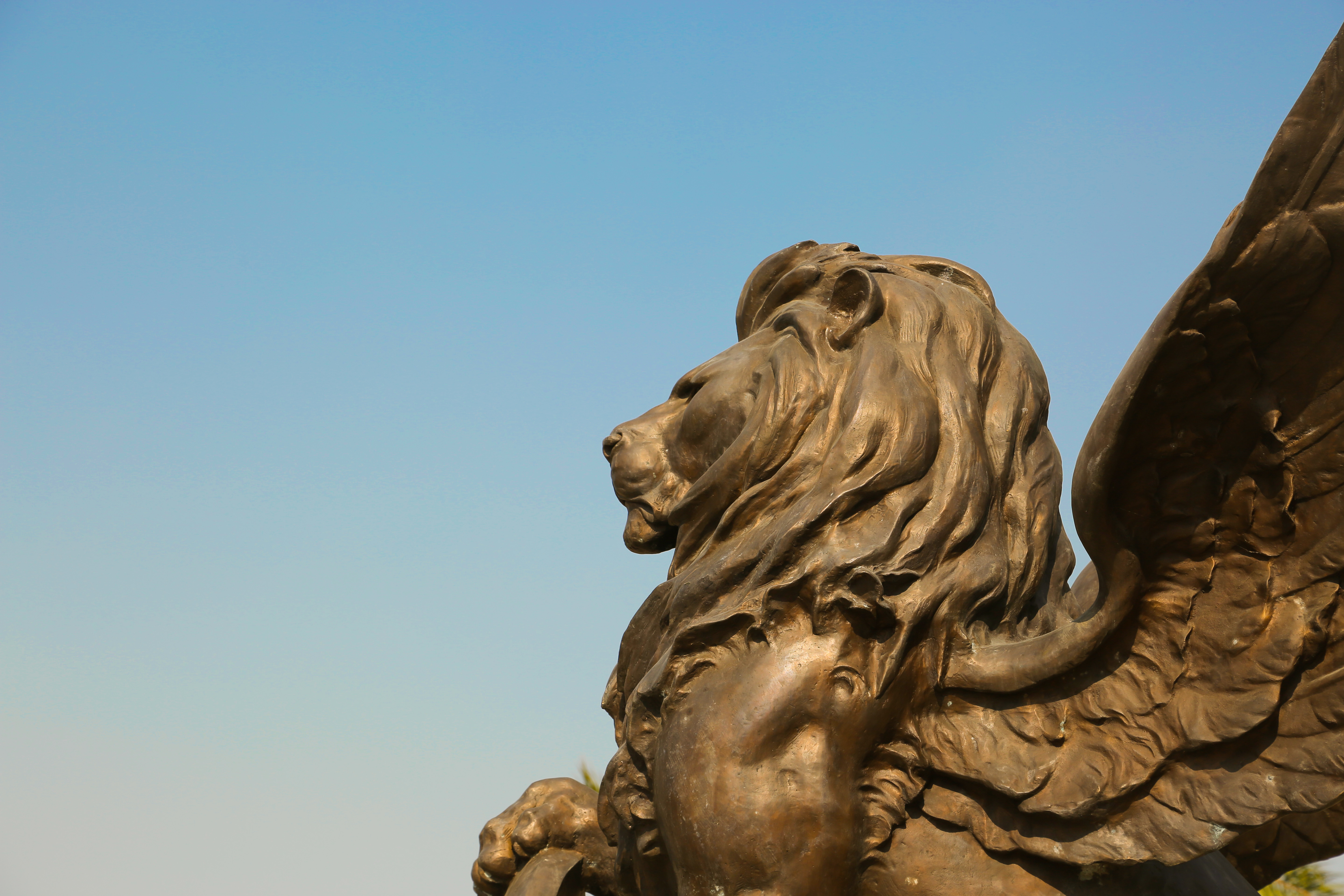 Outdoor sculpture making，Sculpture design and production，Cast Copper Sculpture，Stainless steel sculpture，Fiberglass sculpture，
