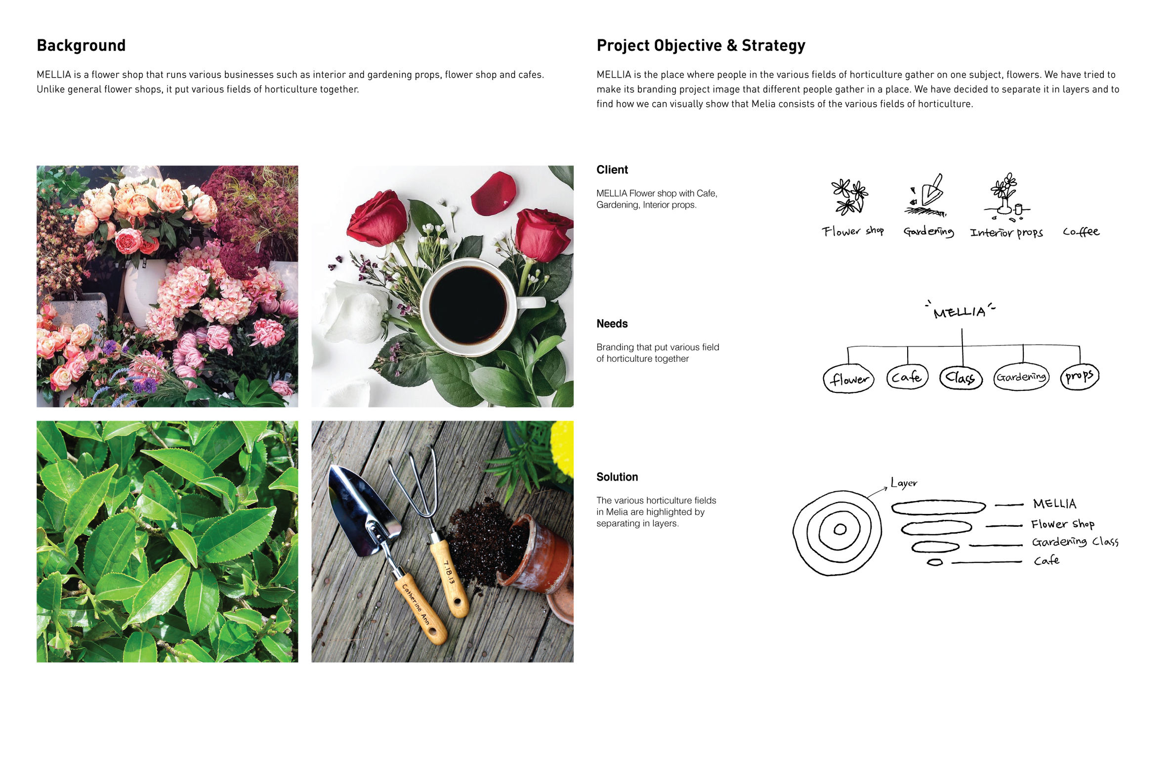 MELLIA，Brand design，Brand design，2018if Award，