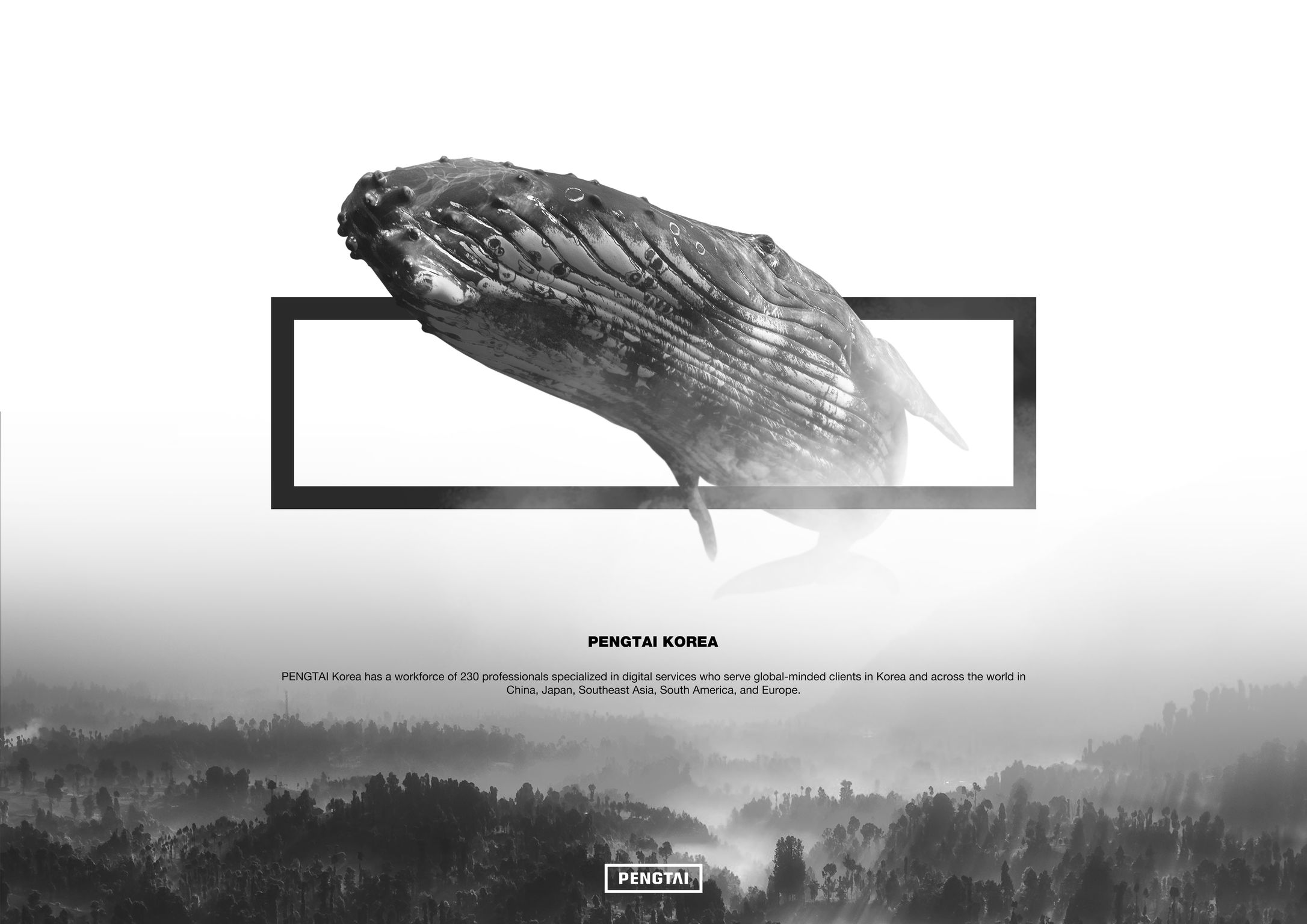 Clipboard，Enterprise brand design，originality，2018if Award，