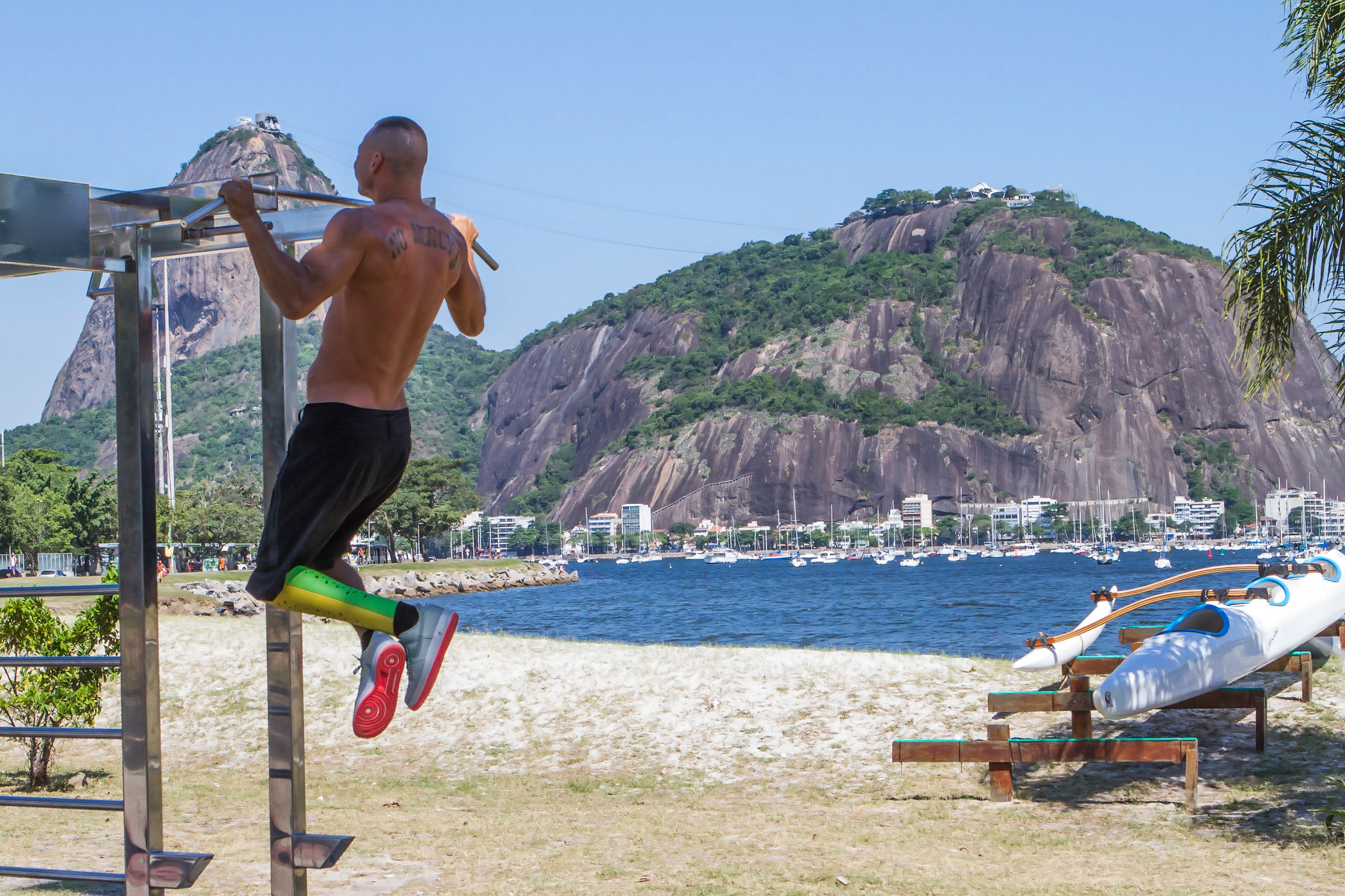 Prosthesis，Confetti，medical apparatus and instruments，2018if Award，