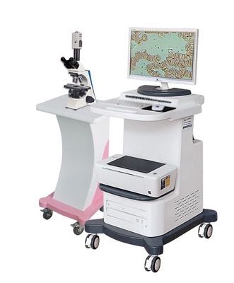 ‘’，‘’，Hand model，