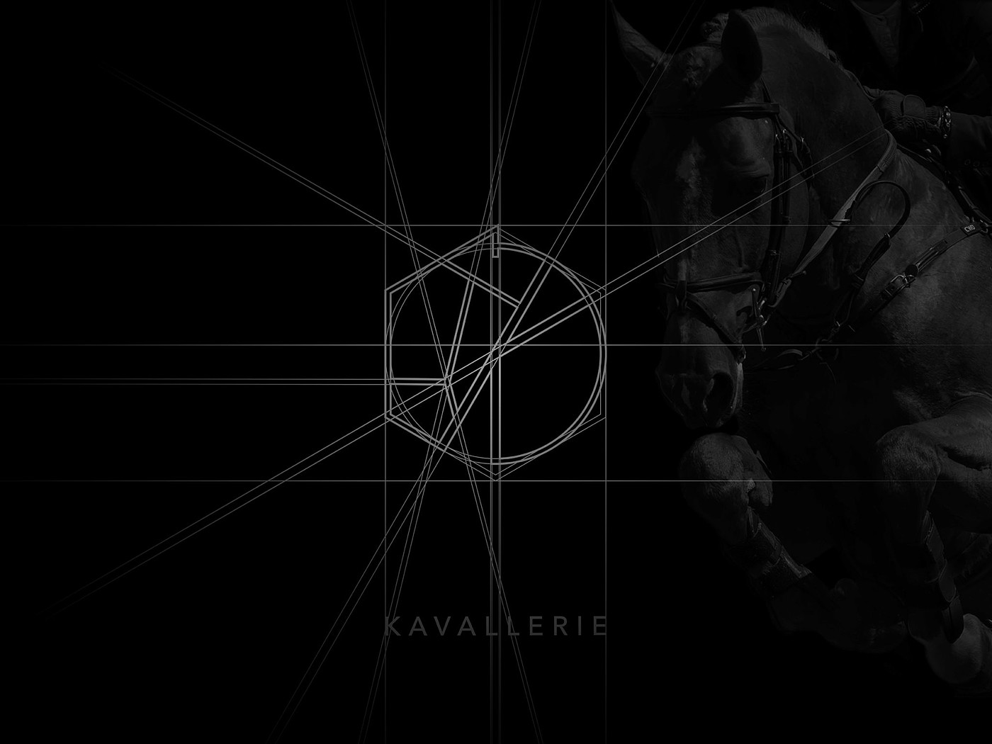 Cavalry，Brand design，originality，2018if Award，