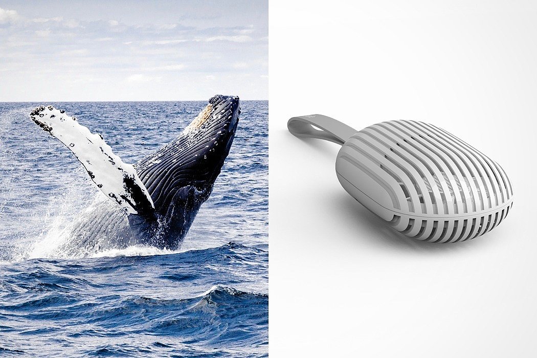 industrial design，product design，Fan，Whale，