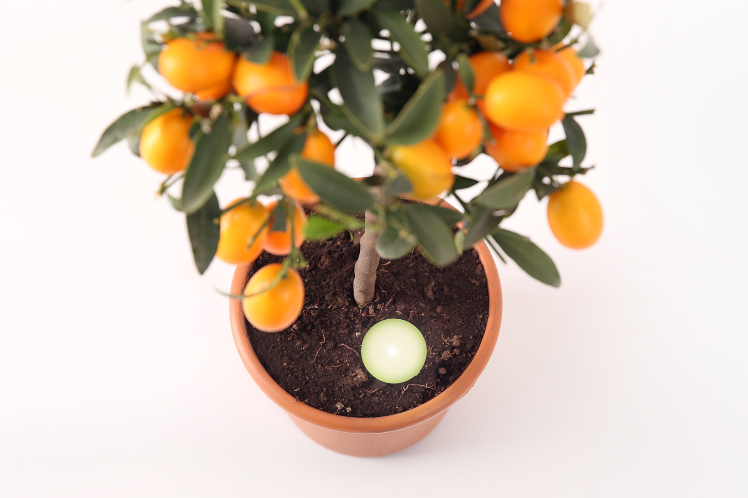 Marc Sapetti，DROPLET，