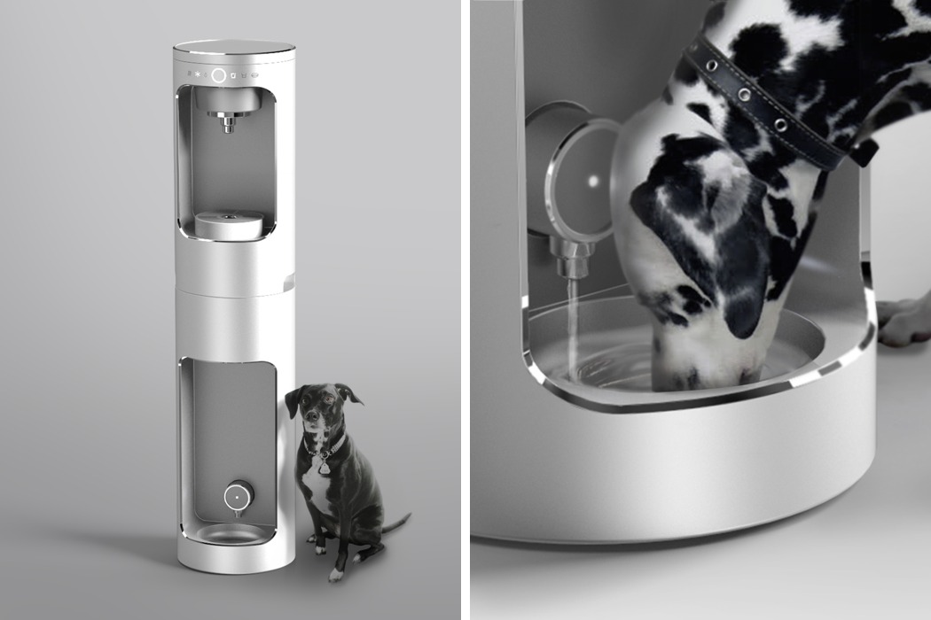 Water dispenser，Pets，water，human beings，