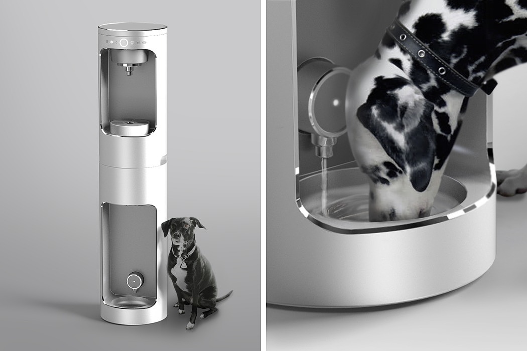 Water dispenser，Pets，water，human beings，
