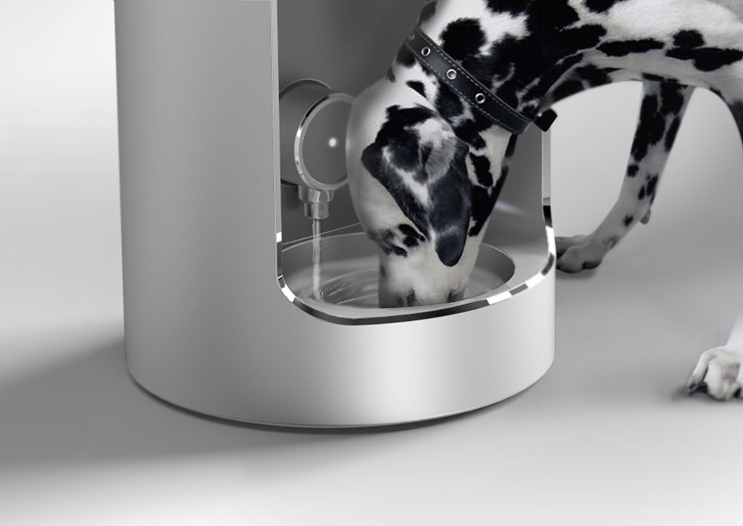 Water dispenser，Pets，water，human beings，