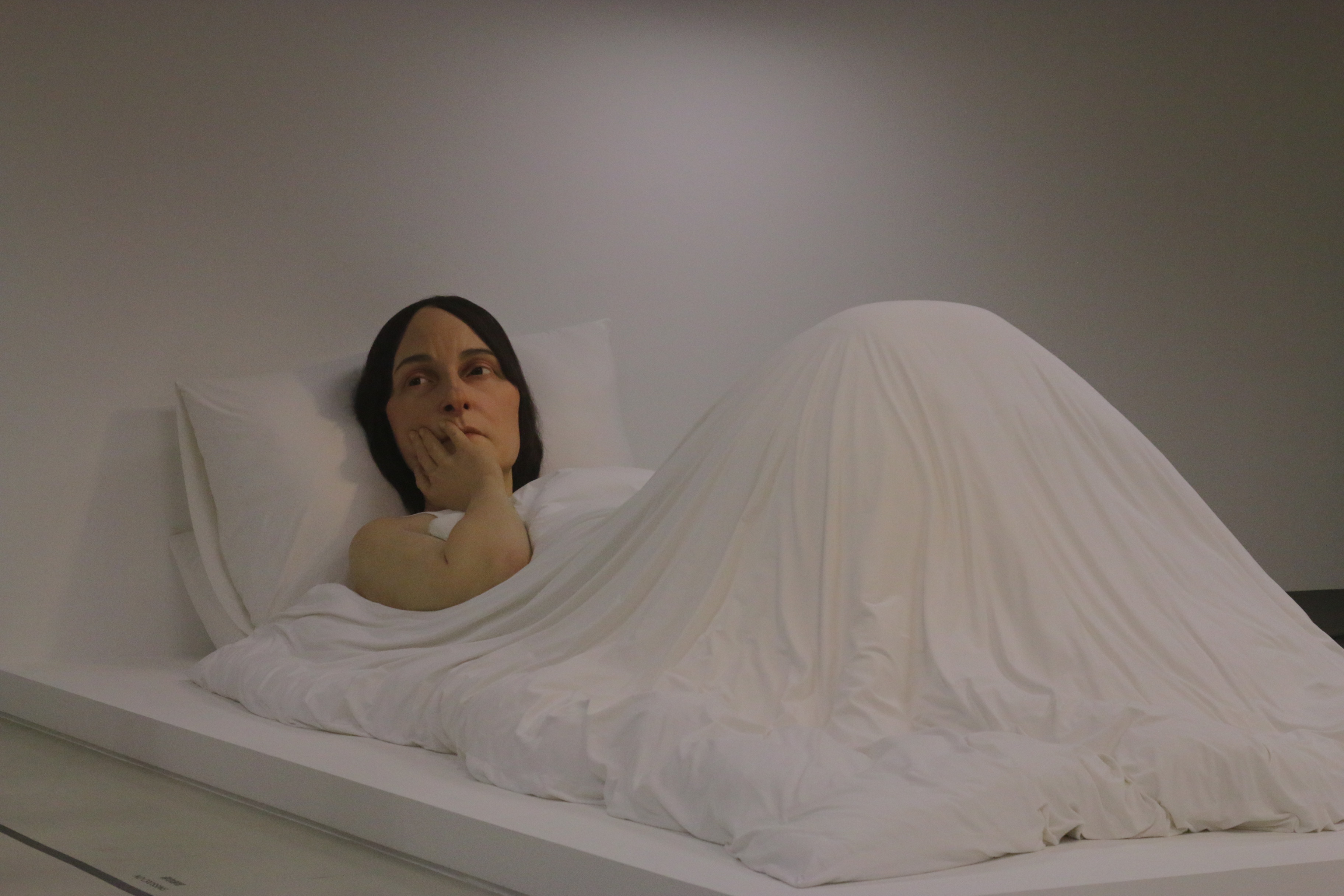 Art，Abstract art，Modernism，Contemporary Art，Marc Newson ，Jet aircraft，vase，flower，Porcelain，originality，Brain hole，Sculpture，Realistic，