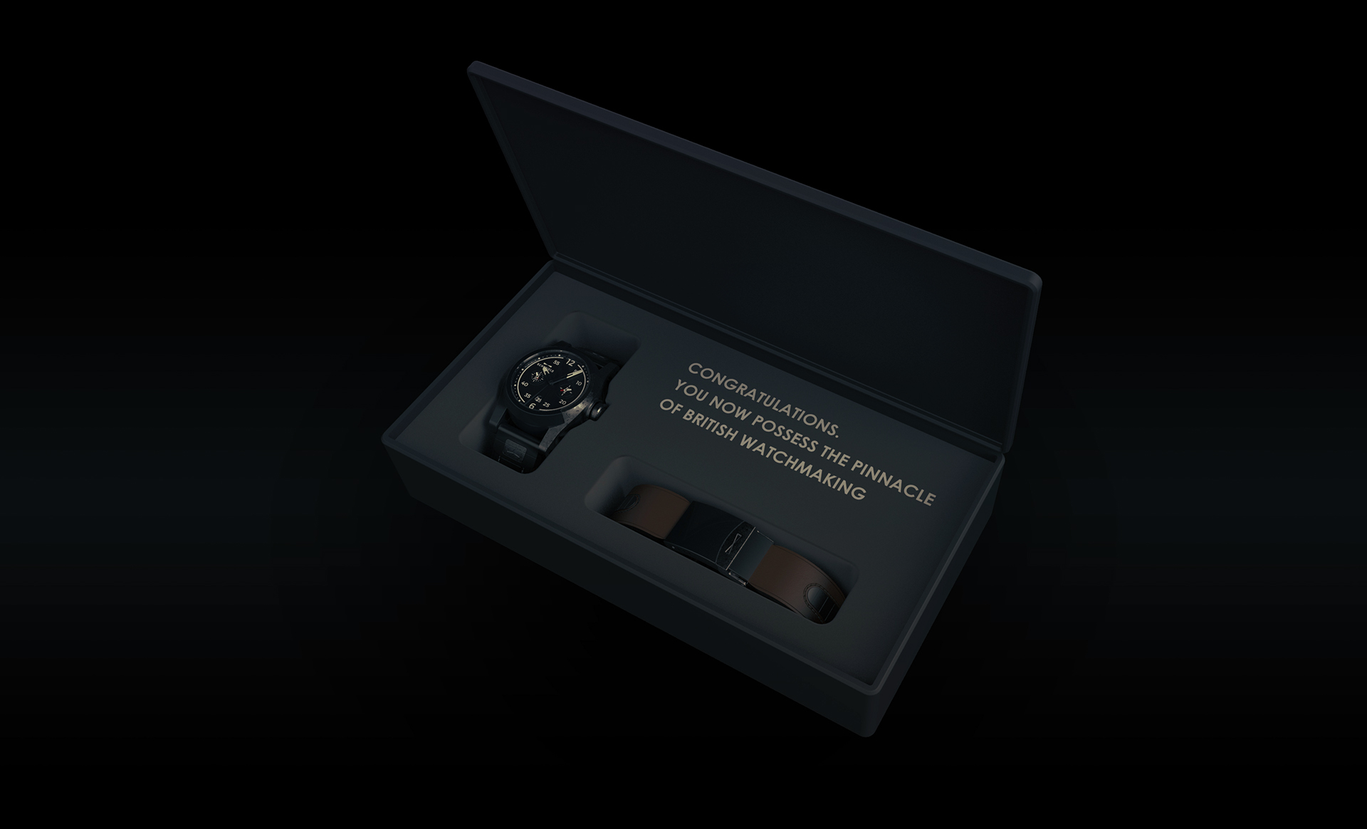 DAMASCUS，Wrist watch，Mechanics，black，