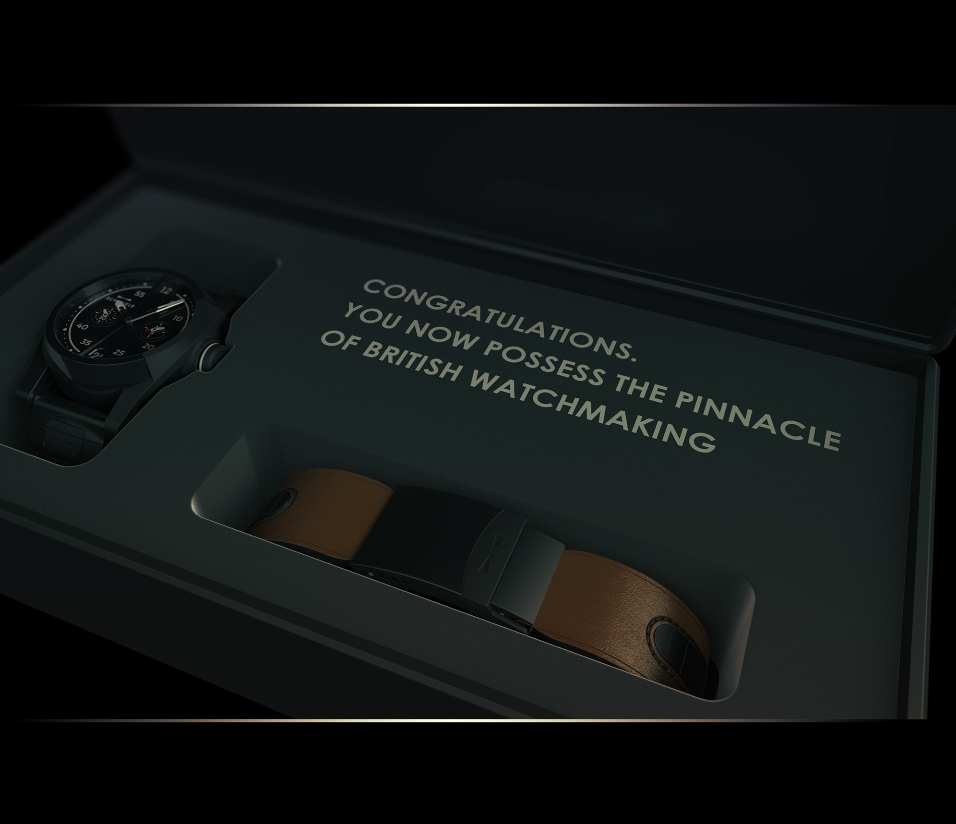 DAMASCUS，Wrist watch，Mechanics，black，