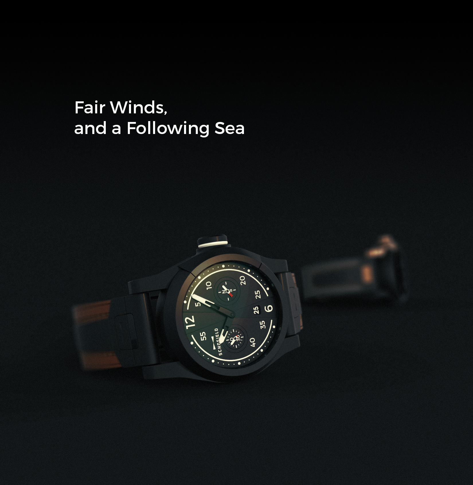 DAMASCUS，Wrist watch，Mechanics，black，