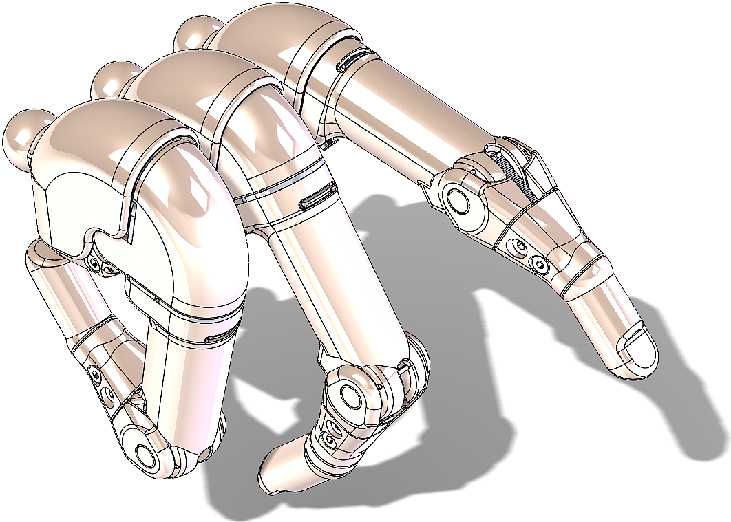 Prosthesis，