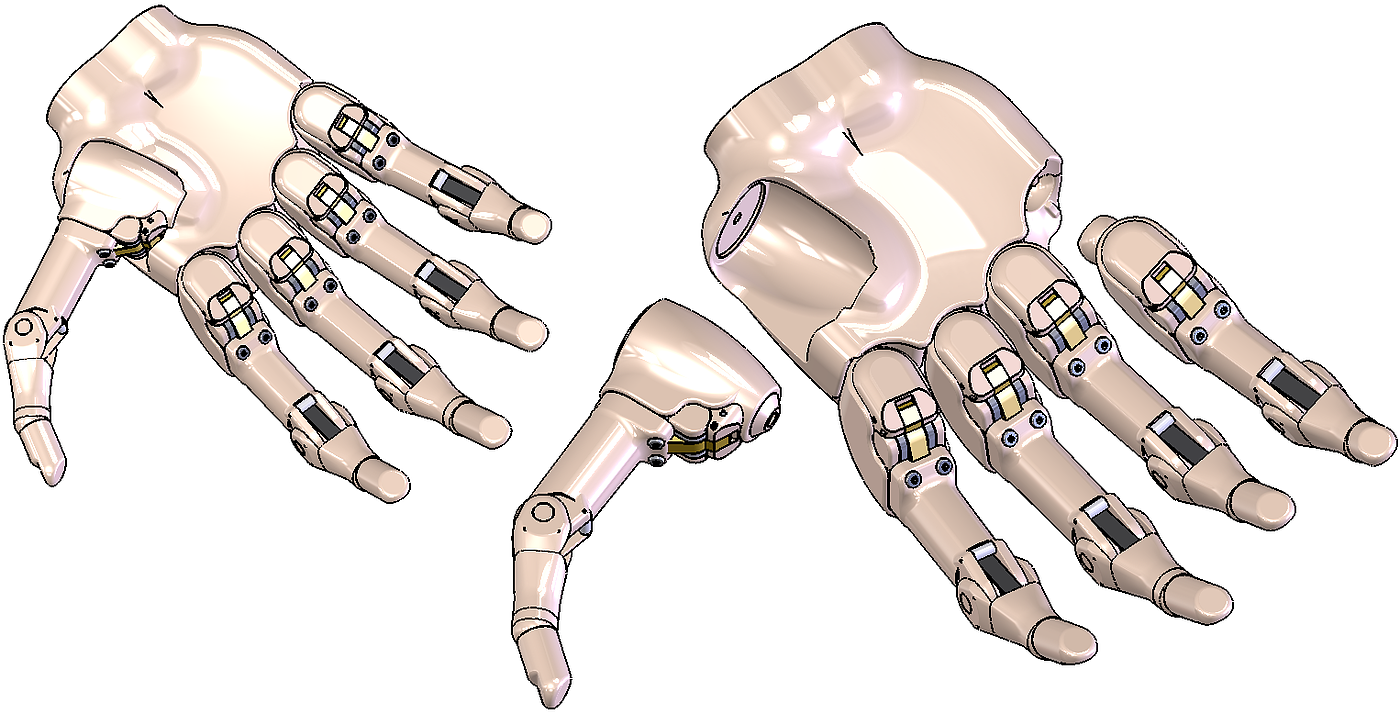 Prosthesis，