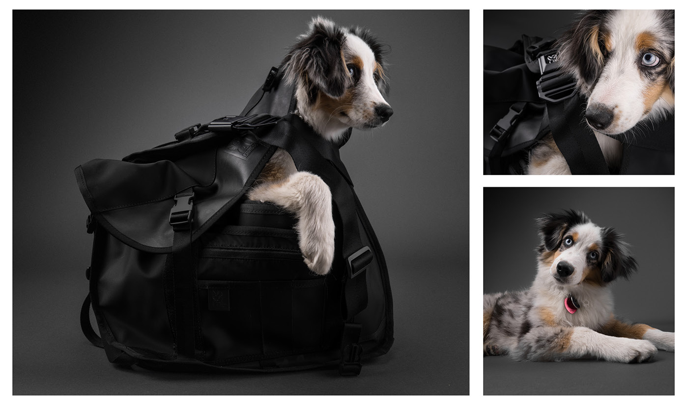 knapsack，CHROME，