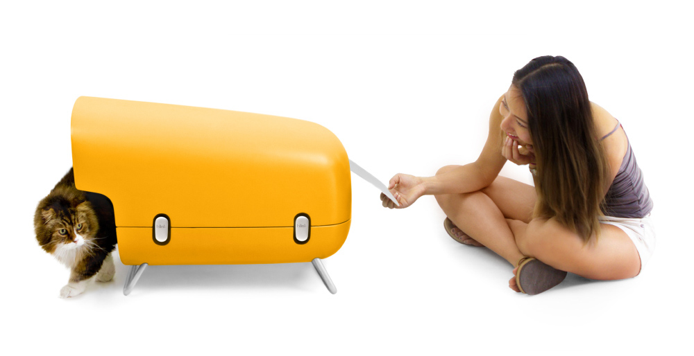 The Blink，Pets，Kitty，green，Cushion，