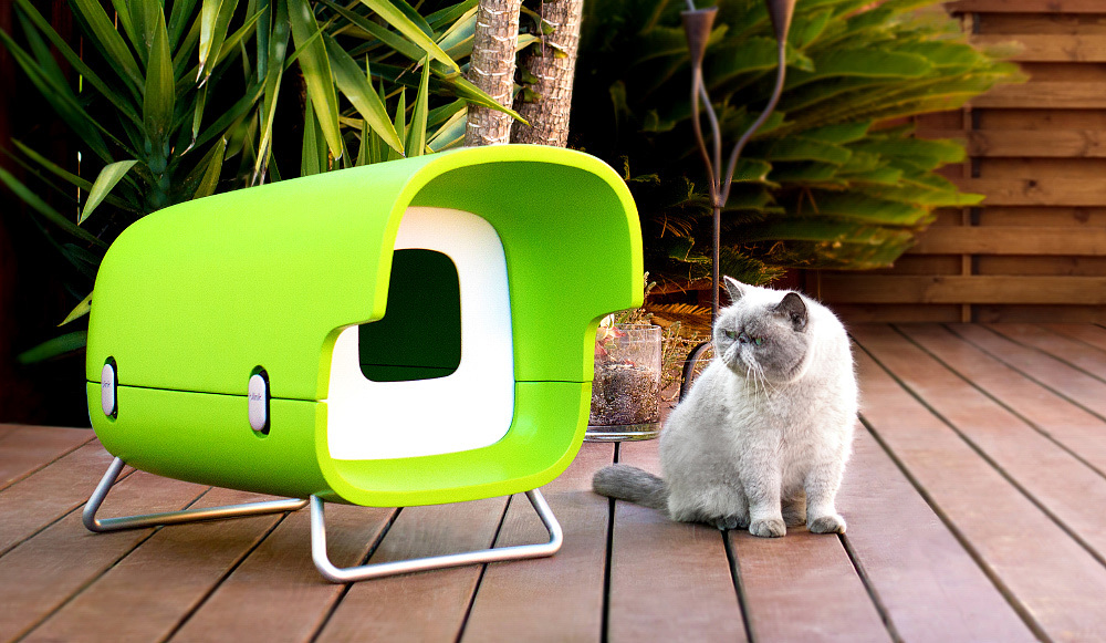 The Blink，宠物，猫咪，绿色，垫子，