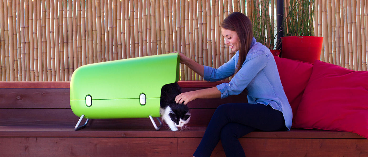 The Blink，Pets，Kitty，green，Cushion，