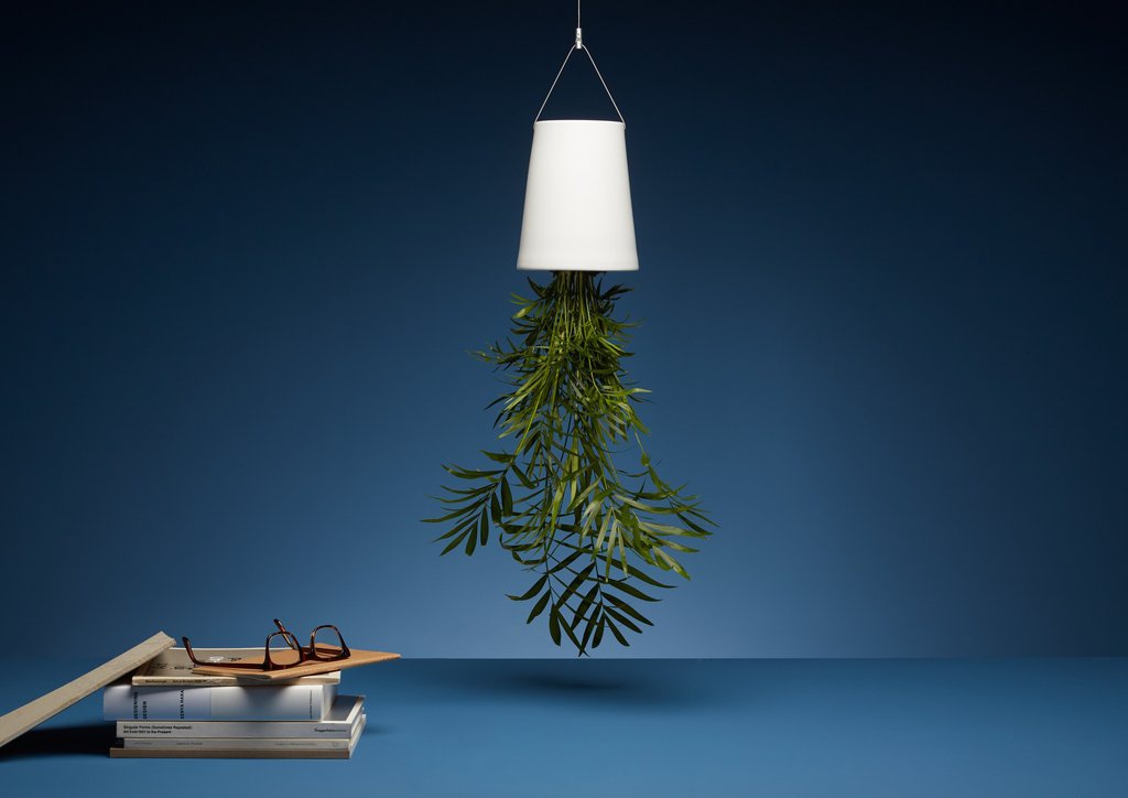 Botany，Flowerpot，watering，ceramics，Boskke Slo-Flo，