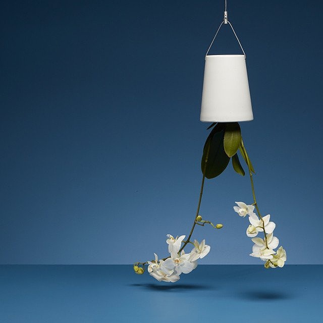 Botany，Flowerpot，watering，ceramics，Boskke Slo-Flo，
