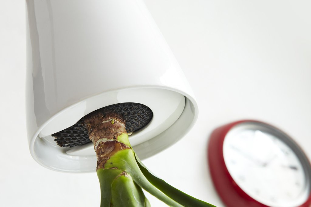 Botany，Flowerpot，watering，ceramics，Boskke Slo-Flo，