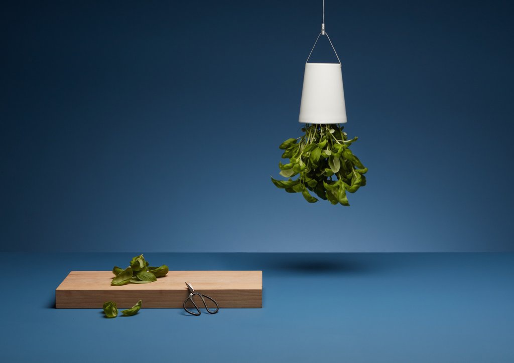 Botany，Flowerpot，watering，ceramics，Boskke Slo-Flo，