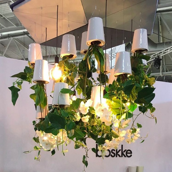 Botany，Flowerpot，watering，ceramics，Boskke Slo-Flo，