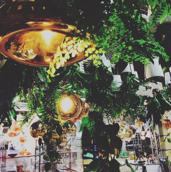 Botany，Flowerpot，watering，ceramics，Boskke Slo-Flo，