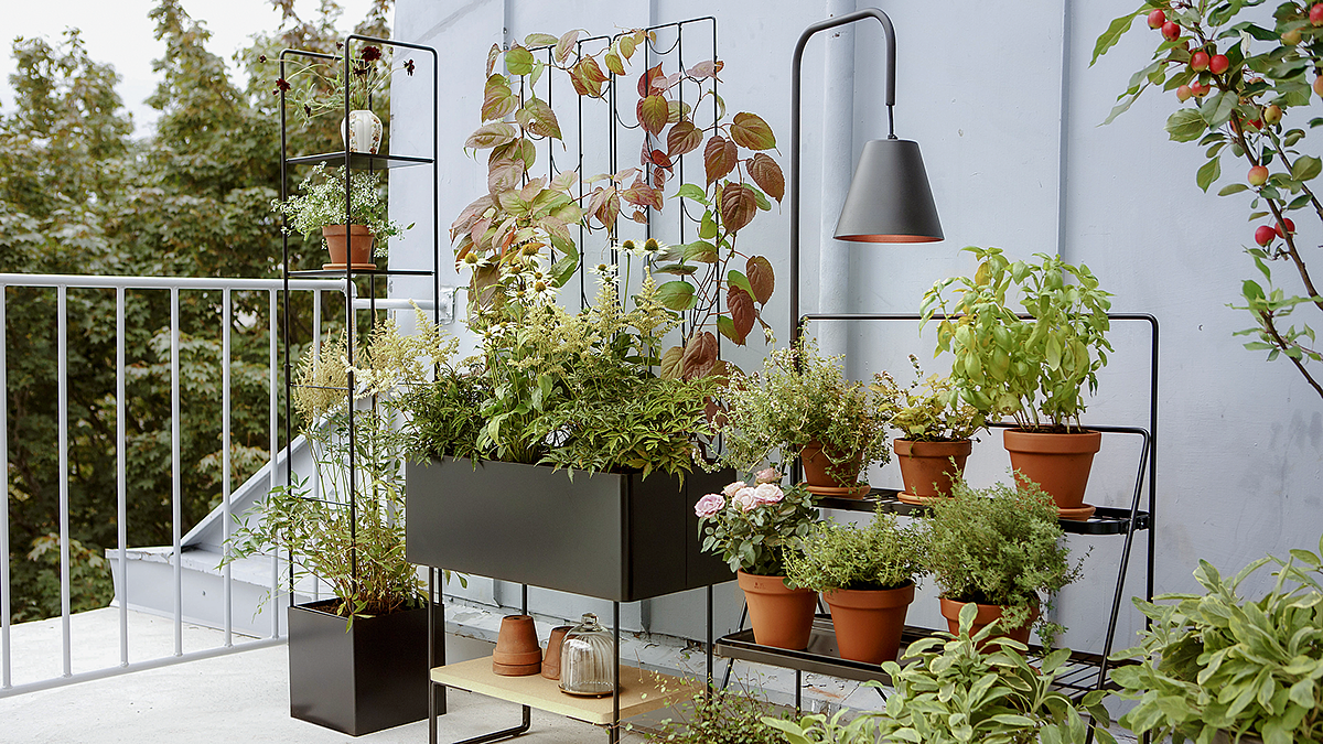 Flower rack，Sun room，Northern Europe，