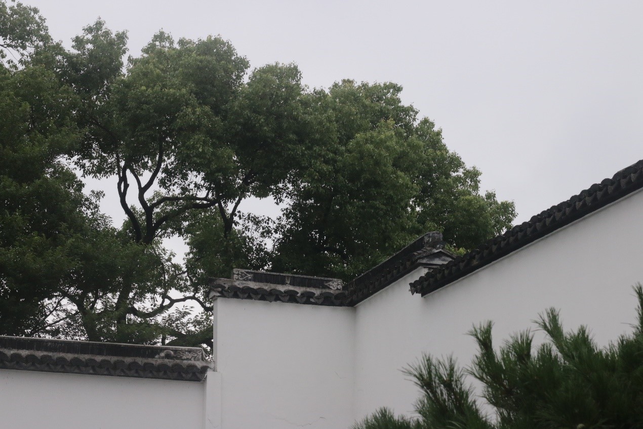 Building interior，museum，Chinese style，Chinese elements，Modern style，Postmodernism，Suzhou，south of the lower reaches of the Yangtze River，traditional culture，gardens，Suzhou Gardens，a region , where the cultivation of rice and the breeding of fish flourish，