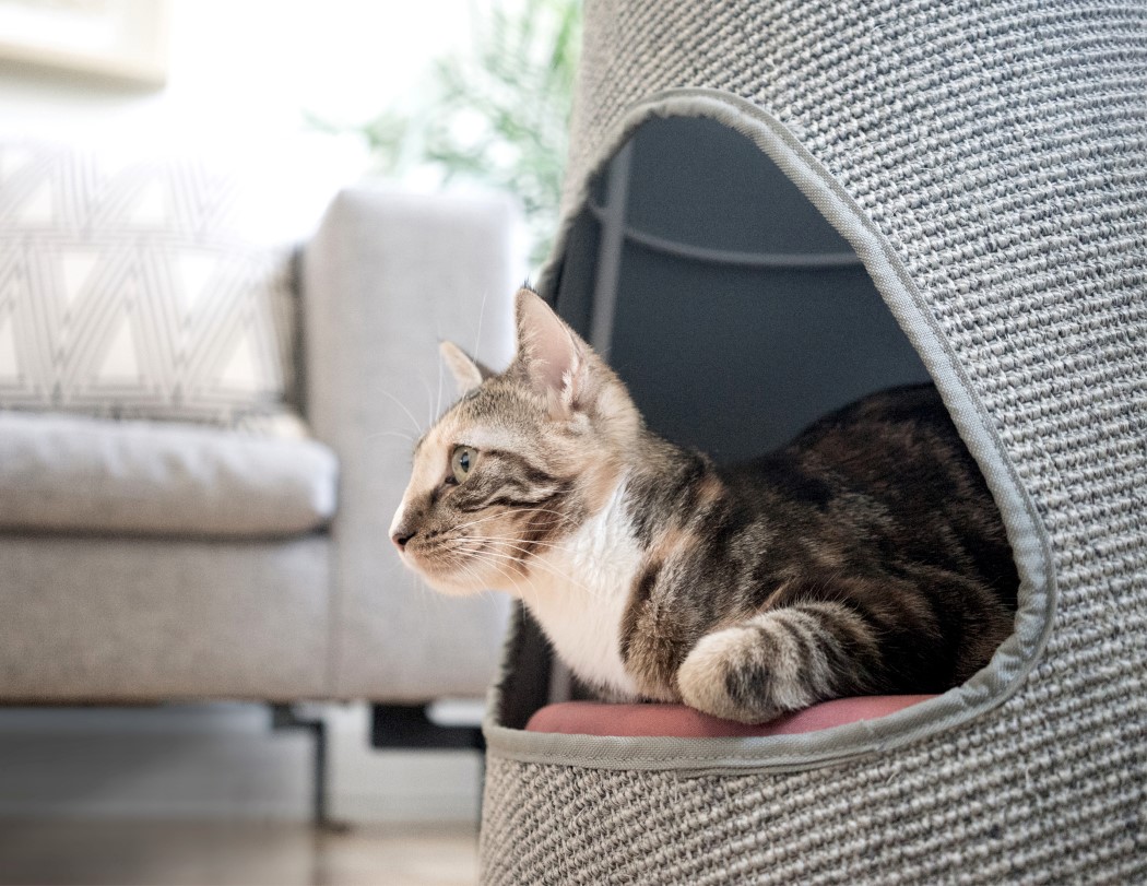 Scratching device，stable，Cat nest，