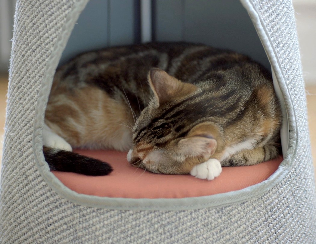 Scratching device，stable，Cat nest，