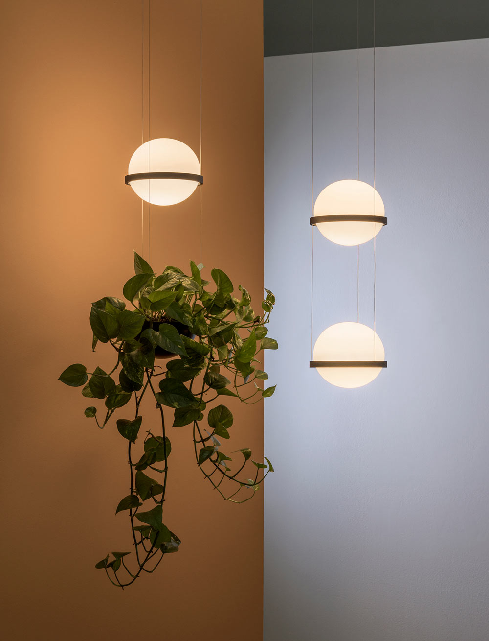 Vibia，PALMA，lighting，Lighting，Botany，