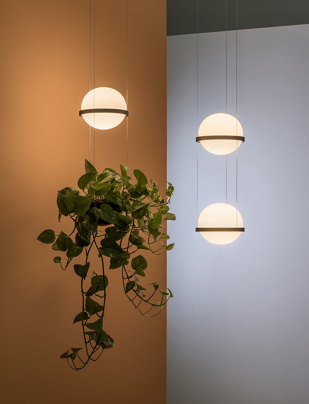 Vibia，PALMA，照明，灯饰，植物，