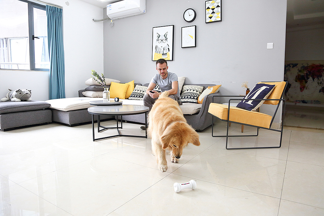 Toys，intelligence，white，bone，food，Pets，Cheerble Studio，