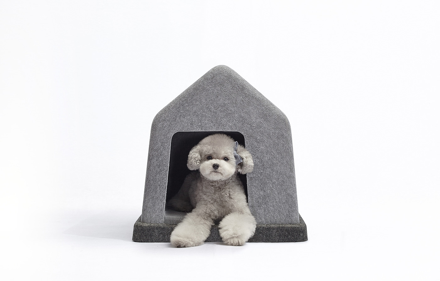 kennel，grey，felt，