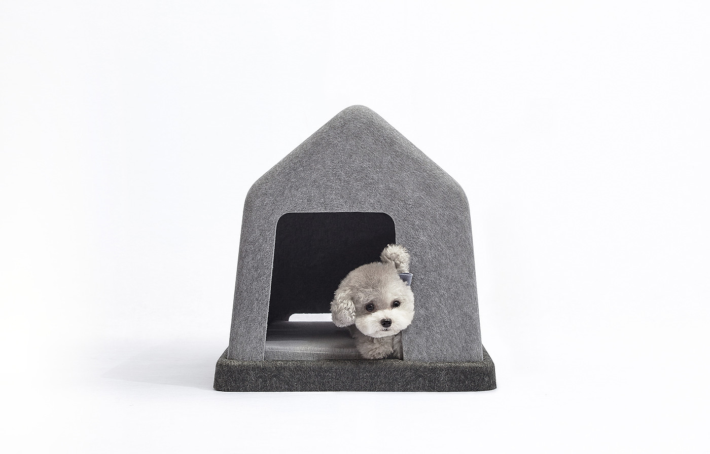 kennel，grey，felt，