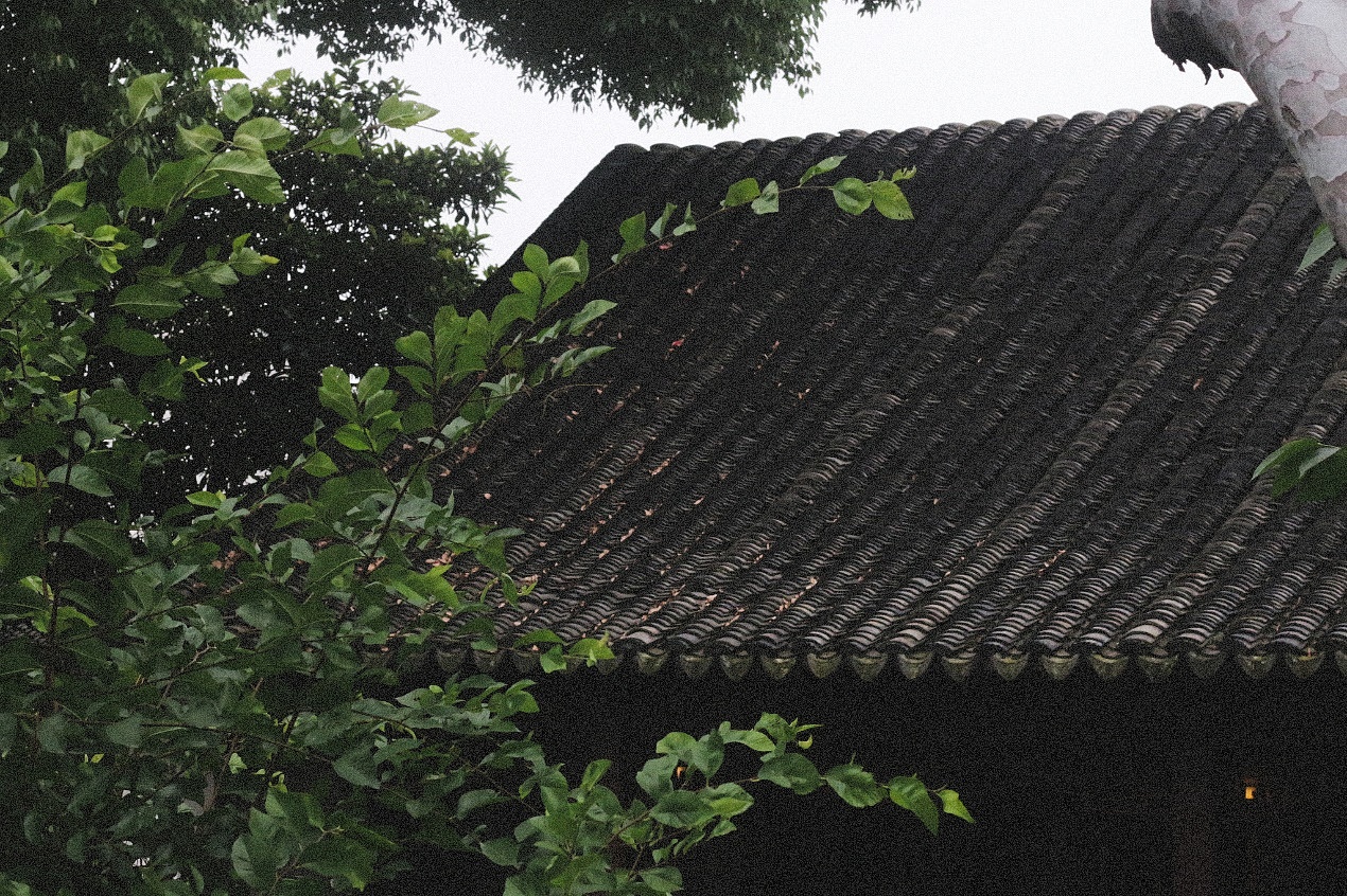 Ancient Architectural Buildings，Chinese style，Ming style furniture，Chinese elements，Suzhou Gardens，traditional culture，Lotus，Lotus leaf，Chinese architecture ，