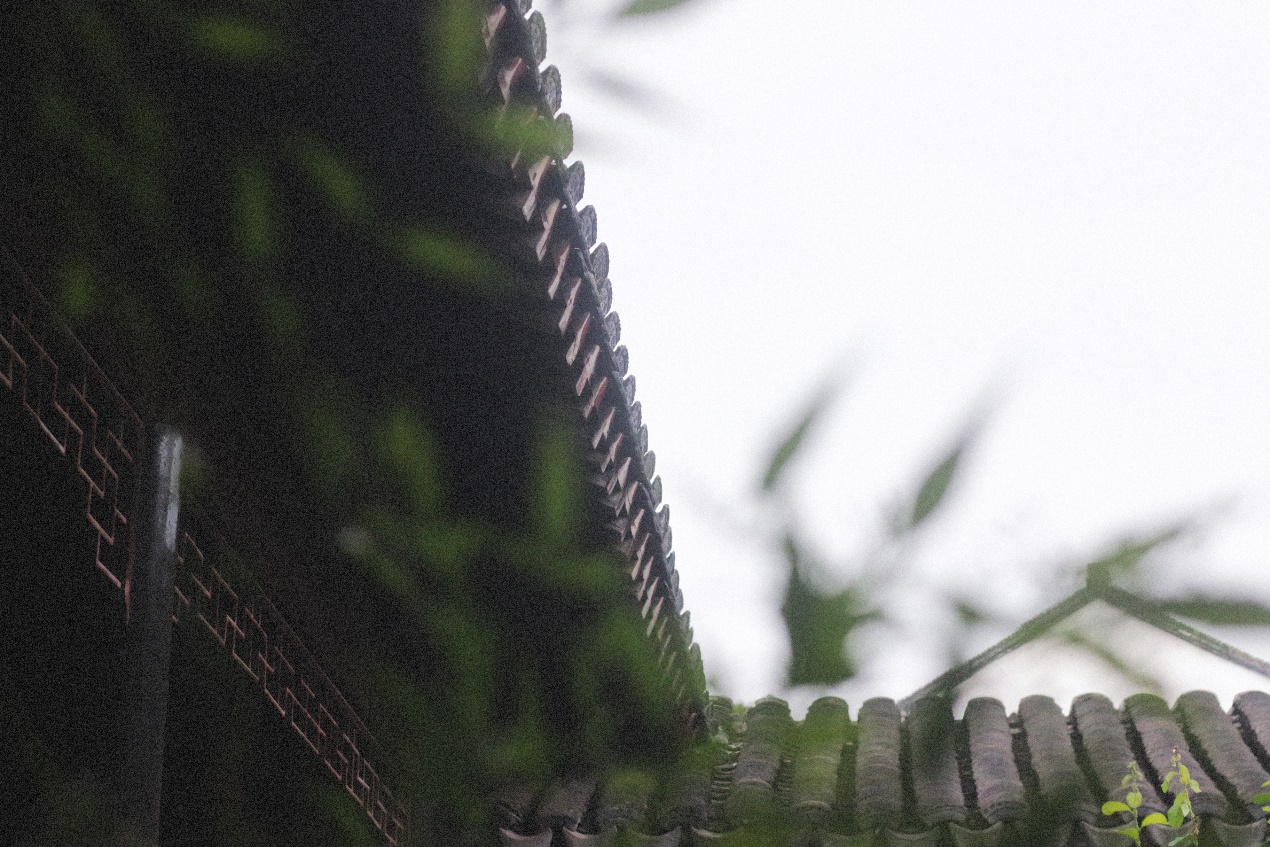 Ancient Architectural Buildings，Chinese style，Ming style furniture，Chinese elements，Suzhou Gardens，traditional culture，Lotus，Lotus leaf，Chinese architecture ，