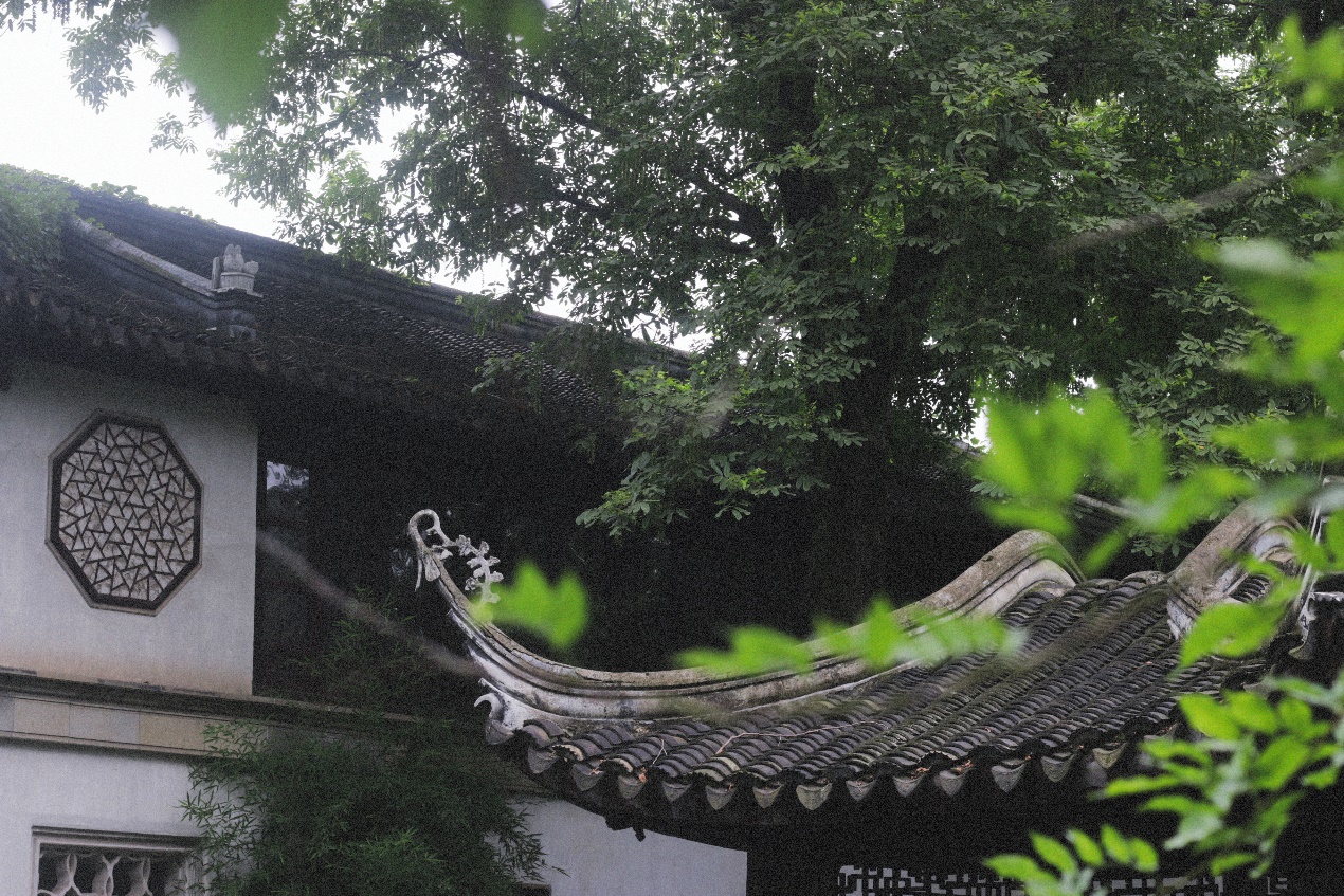 Ancient Architectural Buildings，Chinese style，Ming style furniture，Chinese elements，Suzhou Gardens，traditional culture，Lotus，Lotus leaf，Chinese architecture ，