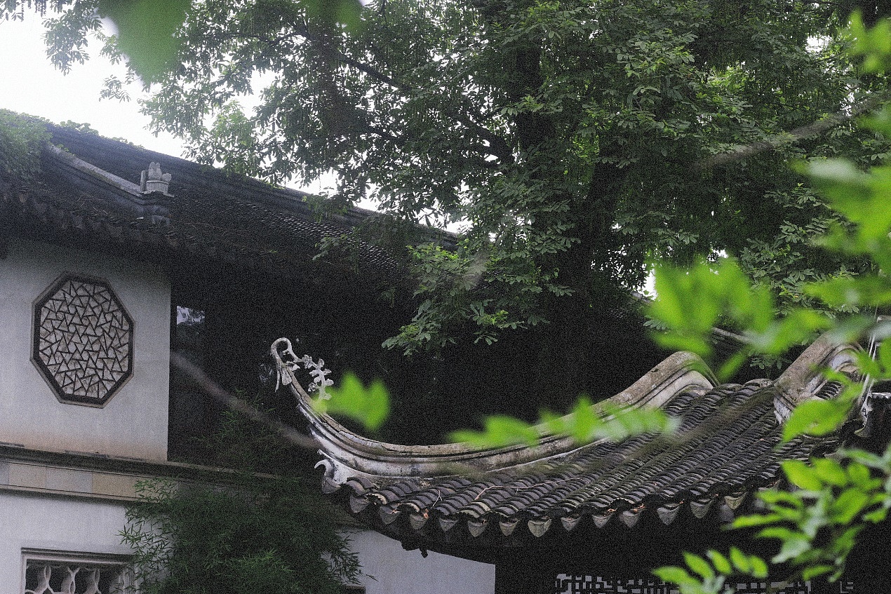 古建筑，中国风，明式家具，中国元素，苏州园林，传统文化，荷花，荷叶，中国建筑，
