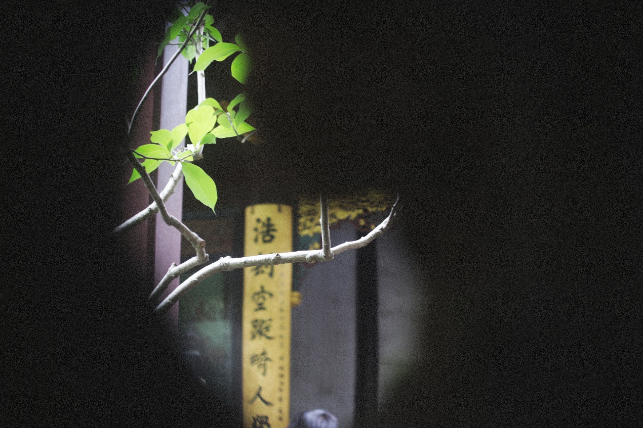 Ancient Architectural Buildings，Chinese style，Ming style furniture，Chinese elements，Suzhou Gardens，traditional culture，Lotus，Lotus leaf，Chinese architecture ，