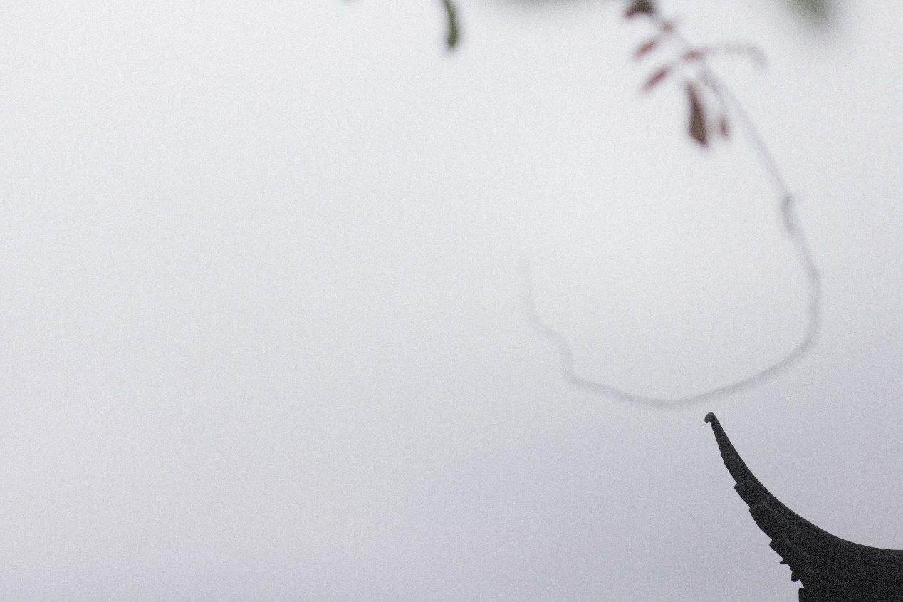 Ancient Architectural Buildings，Chinese style，Ming style furniture，Chinese elements，Suzhou Gardens，traditional culture，Lotus，Lotus leaf，Chinese architecture ，