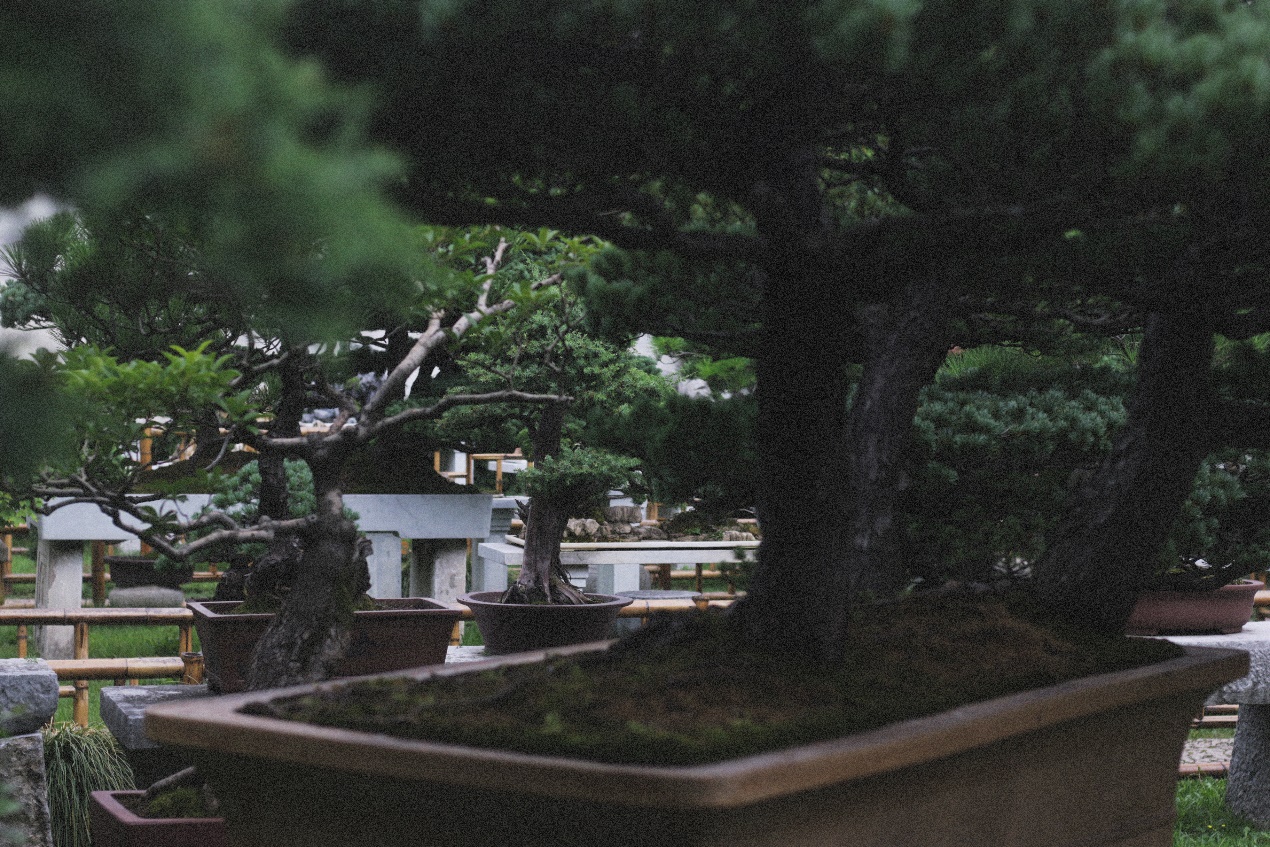 Ancient Architectural Buildings，Chinese style，Ming style furniture，Chinese elements，Suzhou Gardens，traditional culture，Lotus，Lotus leaf，Chinese architecture ，