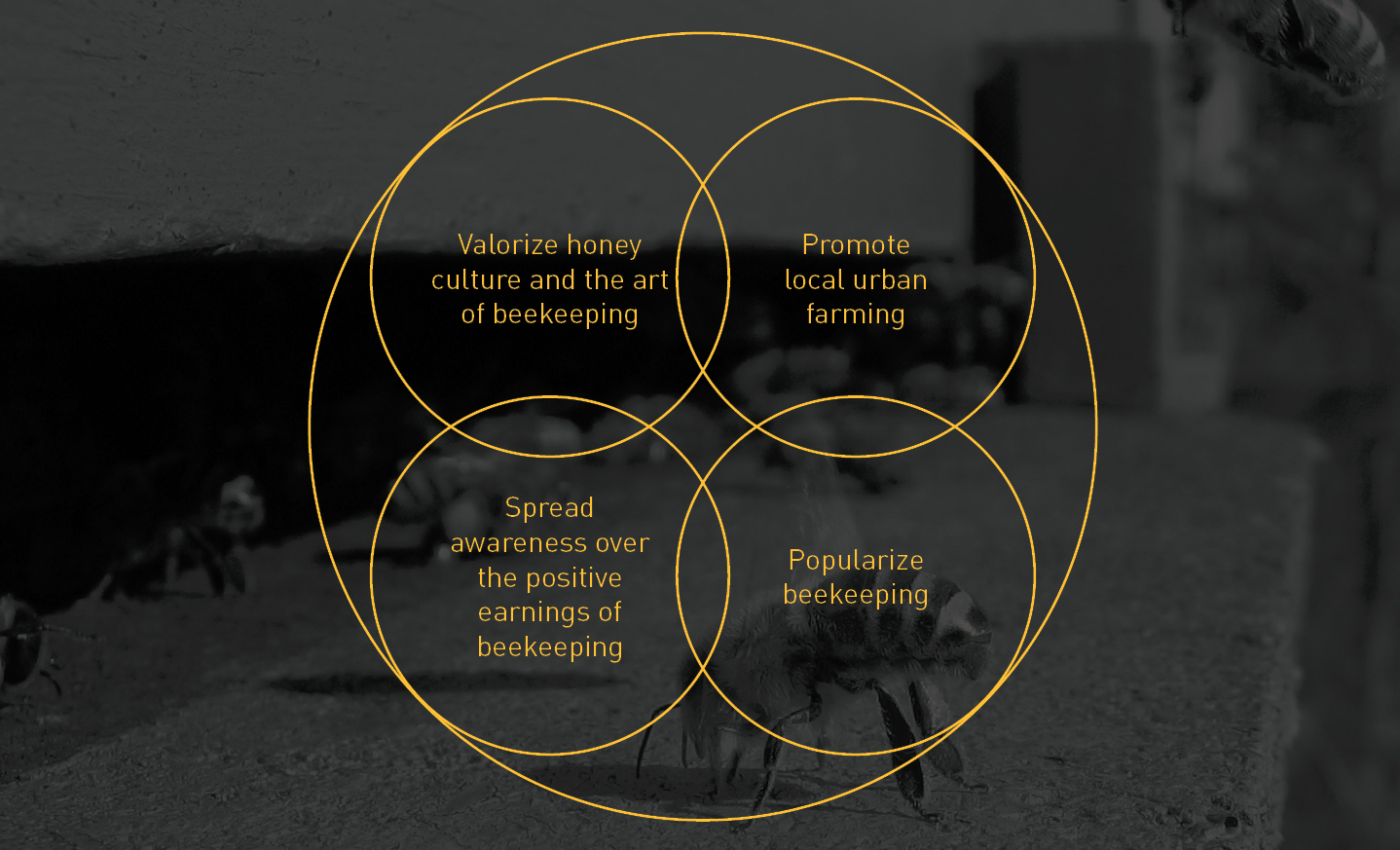 product design，Beehive design，