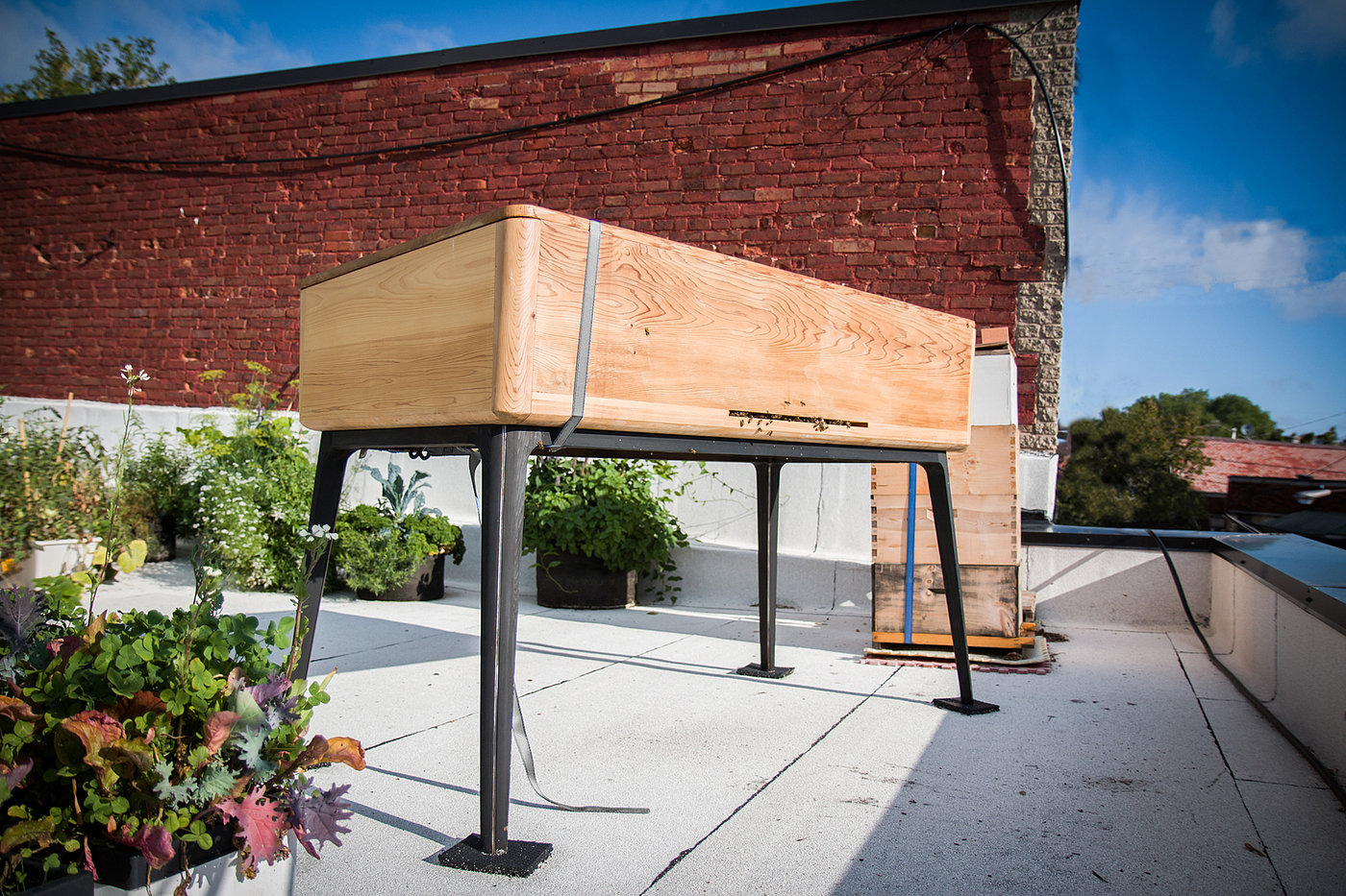product design，Beehive design，
