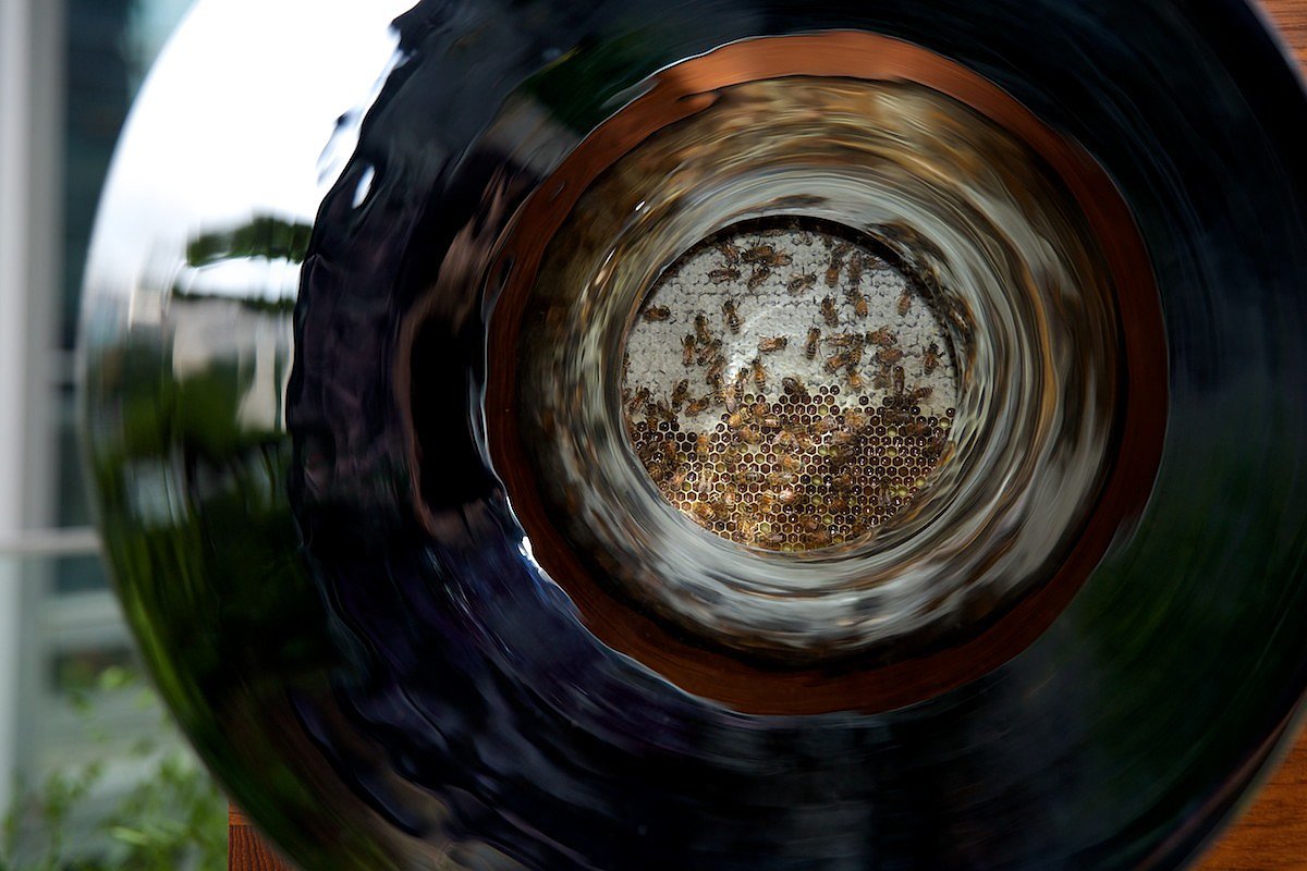 product design，Honeycomb design，Bee wall，