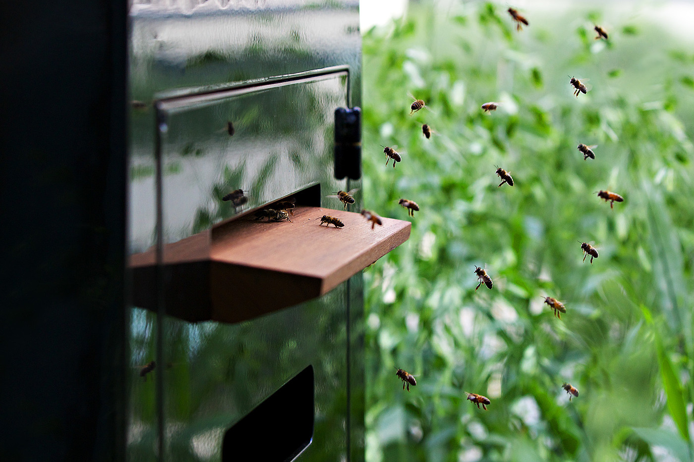 product design，Honeycomb design，Bee wall，
